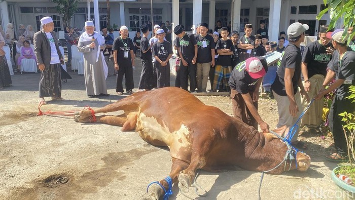 Proses penyembelihan hewan kurban Prabowo di Kota Sukabumi
