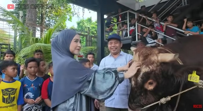 Sapi kurban jumbo artis hingga presiden Sapi kurban jumbo artis hingga presiden