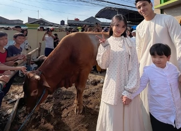 Sapi kurban jumbo artis hingga presiden Sapi kurban jumbo artis hingga presiden