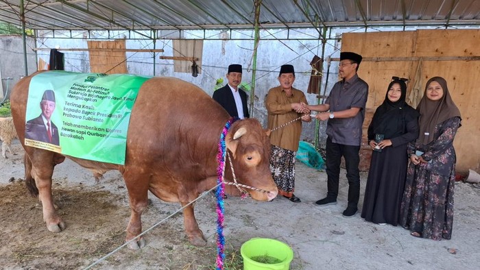 Penyerahan sapi kurban Presiden Prabowo ke Ponpes Modern Al Fatimah di Bojonegoro