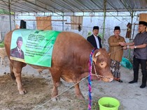 Mas Bambang Sapi 1,2 Ton Milik Prabowo Tiba di Bojonegoro