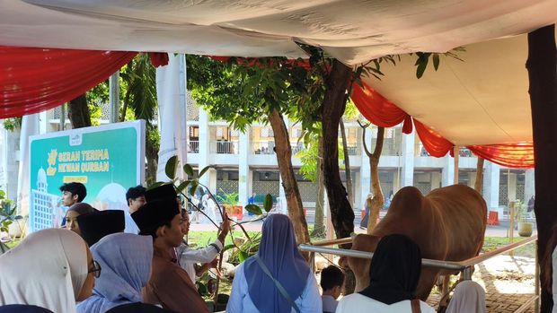 Sapi Prabowo-Gibran Jadi Rebutan Foto Warga