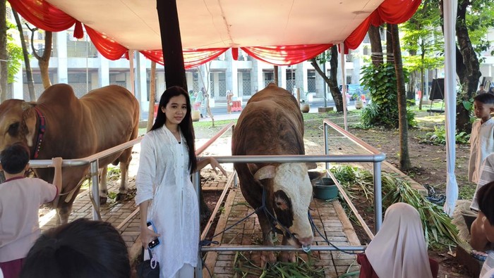 Sapi Prabowo-Gibran Jadi Rebutan Foto Warga