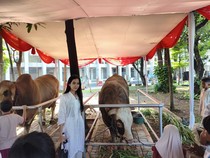 Sapi Prabowo-Gibran di Istiqlal Jadi Primadona, Diajak Foto Bareng Warga