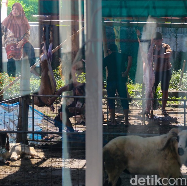 Suasana Idul Adha Dipenuhi Aktivitas Pemotongan Hewan Kurban