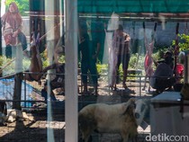Suasana Idul Adha Dipenuhi Aktivitas Pemotongan Hewan Kurban