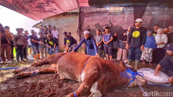 Suasana penyembelihan sapi dari Prabowo Subianto di Masjid Miftahul Jannah, Kampung Lamajang Peuntas, Desa Citeureup, Kecamatan Dayeuhkolot, Kabupaten Bandung, Rabu (27/5/2026).