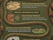 Infografis: Tanda-tanda Keberadaan Ular di Dalam Rumah