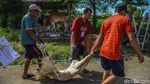 Tradisi Kurban Satukan Warga di Hari Raya Idul adha