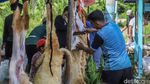 Tradisi Kurban Satukan Warga di Hari Raya Idul adha