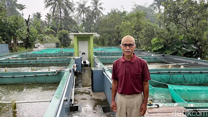 Usaha Budidaya Ikan yang Dikelola Ruskandar di Bogor