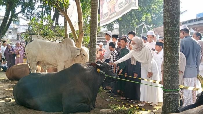 Warga antusias melihat hewan kurban di Masjid Agung Palembang