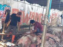 Kisah Misto Kumpulkan Cuan dari Kulit Hewan Kurban