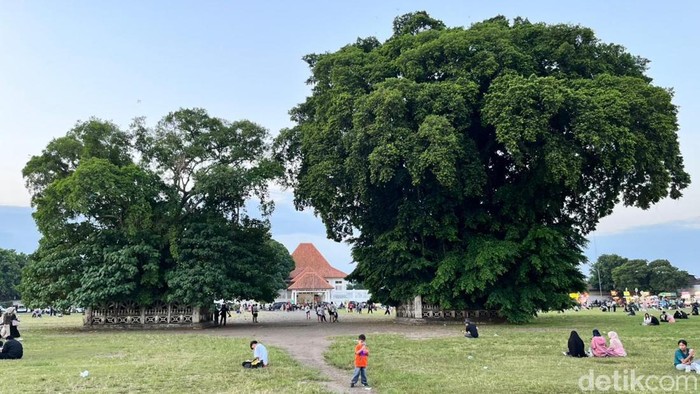 Alun-alun Kidul Yogyakarta penuh dengan berbagai atraksi dan kuliner. Tapi dari semuanya, ada satu yang paling laris manis, Masangin. Masangin adalah sebuah nama atraksi yang disingkat dari Masuk Antara Dua Beringin.
