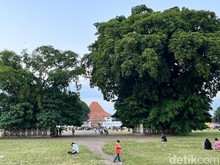 Mitos di Alun-alun Kidul, Lewati Pohon Beringin Maka Keinginan Akan Berhasil