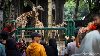 Ragunan Gratis untuk Pemegang KTP Jakarta Selama 3 Hari