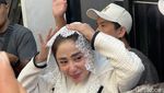 Sapi Jumbo Punya Dewi Perssik untuk Kurban Tahun Ini