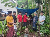 PDIP Banyuwangi Salurkan 11 Sapi Kurban ke Ponpes dan Masjid