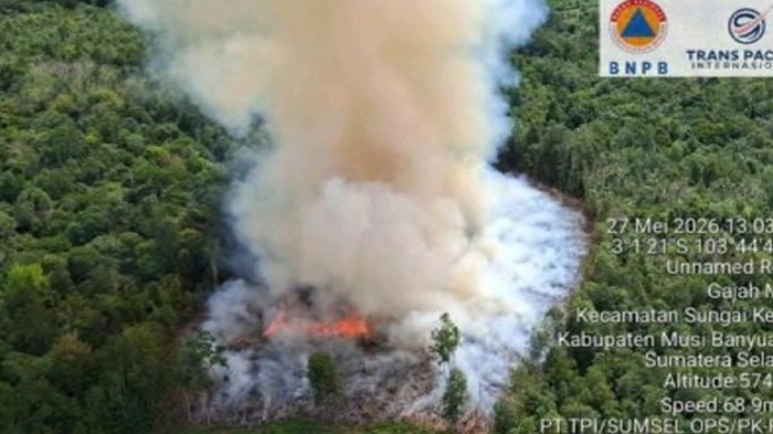 Kebakaran hutan dan lahan yang terjadi di tiga wilayah Sumsel