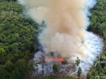 Catat! Warga Muba yang Buka Lahan dengan Cara Membakar Akan Diproses Hukum