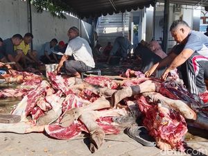 Hukum Menjual Daging Kurban: Bolehkah? Simak Penjelasan Ulama