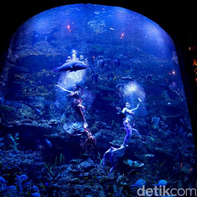 Mengisi Libur Panjang di Wisata Oceanium