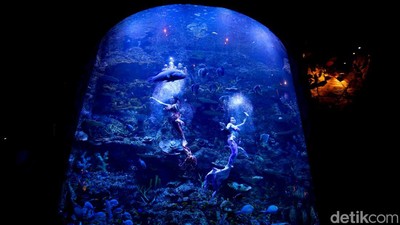 Mengisi Libur Panjang di Wisata Oceanium