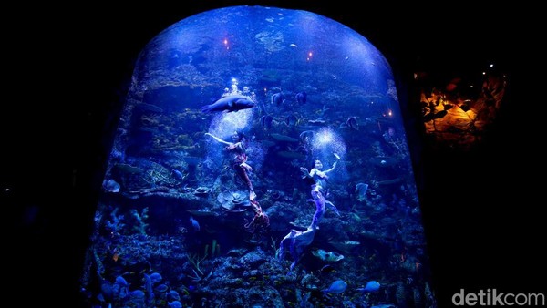Mengisi Libur Panjang di Wisata Oceanium
