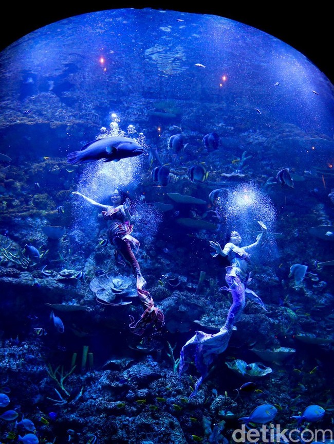 Mengisi Libur Panjang di Wisata Oceanium