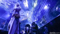 Selain atraksi putri duyung, daya tarik lainnya adalah Sea Tunnel yang diklaim sebagai salah satu terowongan bawah air terbesar dan terpanjang di Asia Tenggara.   