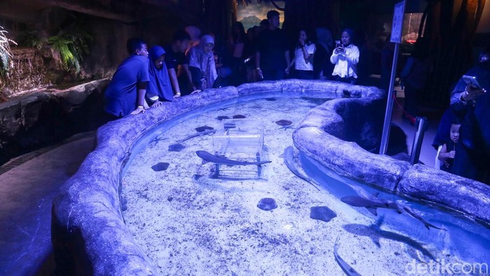 Pengunjung memadati BXSea di Mall Bintaro Xchange, Tangsel, Banten, Kamis (28/5/2026). BXSea adalah destinasi edutainment akuarium raksasa yang menggabungkan konsep edukasi kelautan dan hiburan interaktif untuk segala usia.