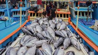 Pekerja menata ikan tuna hasil tangkapan nelayan di Tempat Pelelangan Ikan (TPI) Sendang Biru, Kabupaten Malang, Jawa Timur, Kamis (28/5/2026).  ANTARA FOTO/Irfan Sumanjaya