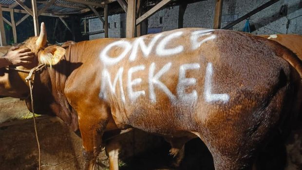 Once Mekel