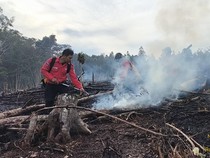8 Daerah di Sumsel Terjadi Karhutla Selama 4 Bulan, 182,54 Hektare Lahan Terbakar