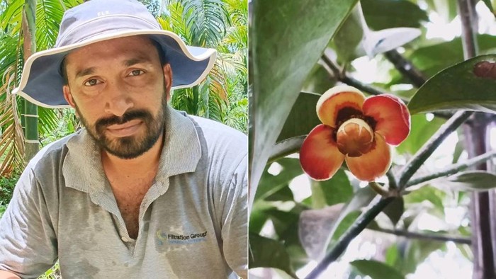 Pilih Jadi Petani Buah, Eks Pekerja IT Ini Raup Cuan Rp 1 M Setahun!