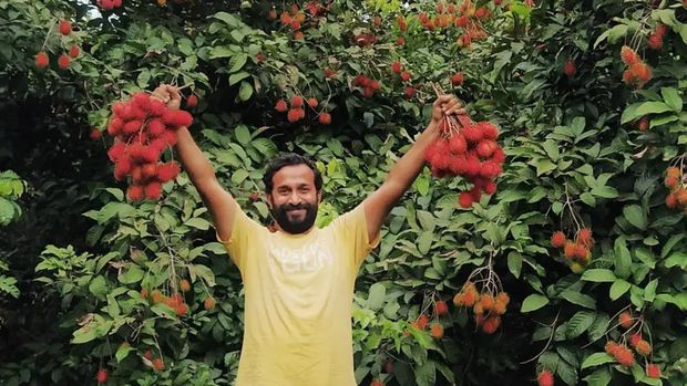 Pilih Jadi Petani Buah, Eks Pekerja IT Ini Raup Cuan Rp 1 M Setahun!