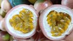 Pilih Jadi Petani Buah, Eks Pekerja IT Ini Raup Cuan Rp 1 M Setahun!