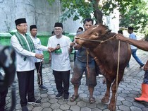 PPP Gelar Kurban Serentak Nasional, Lebih dari 100 Hewan Disalurkan