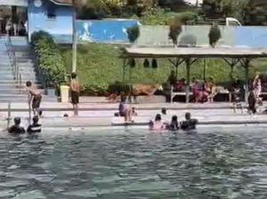 Momen Sapi Kurban Kabur ke Area Kolam Renang di Dairi