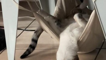 Begini nih kalau saking nyenyaknya tidur. Foto: Bored Panda