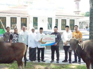 Bank Sumsel Babel Salurkan Hewan Kurban, Perkuat Kepedulian Sosial