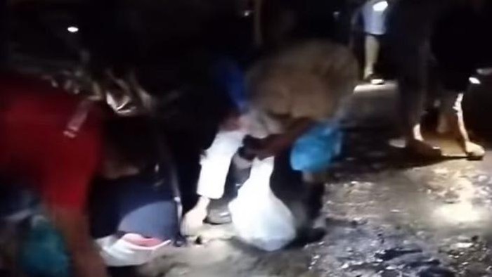 Warga di Bolmong, Sulawesi Utara (Sulut), ramai-ramai memungut emas dalam lumpur sisa material banjir.