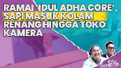 Video: Idul Adha Core, Kumpulan Berita Hewan Kurban Kabur