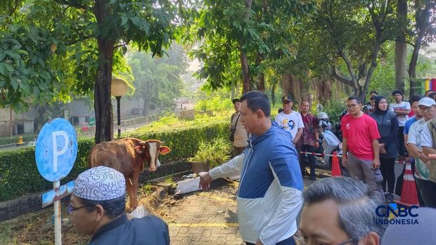 Direktur Utama Perum Bulog, Ahmad Rizal Ramdhani membagikan daging kurban. (CNBC Indonesia/Martyasari Rizky)