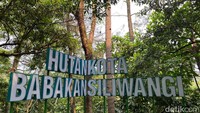 Hutan Kota Babakan Sliwangi, Kawasan Tenang nan Hijau di Tengah Kota Bandung