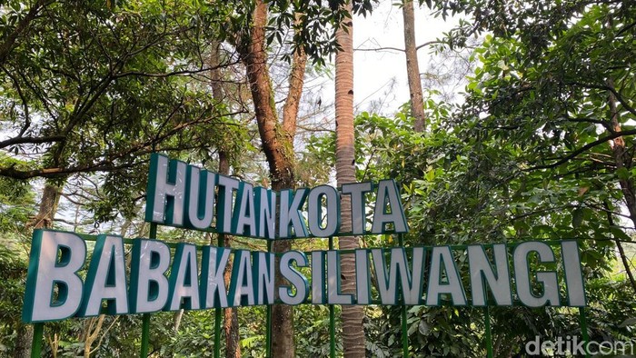Hutan Kota Babakan Siliwangi, Bandung