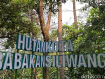 Hutan Kota Babakan Sliwangi, Kawasan Tenang nan Hijau di Tengah Kota Bandung