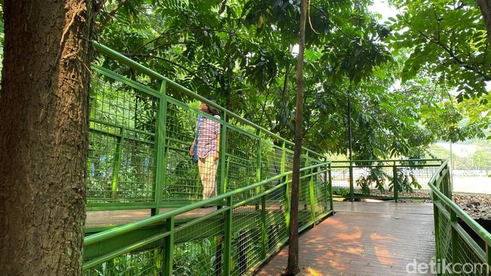 Hutan Kota Babakan Siliwangi, Bandung