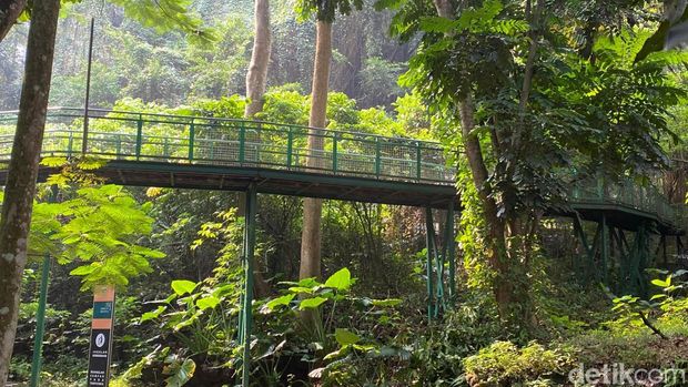 Hutan Kota Babakan Siliwangi, Bandung Hutan Kota Babakan Siliwangi, Bandung