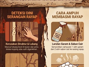 Infografis: Tanda Ada Rayap di Rumah dan Cara Mudah Membasminya